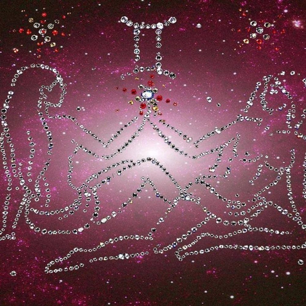 Meet your Posher, Sylvia i.